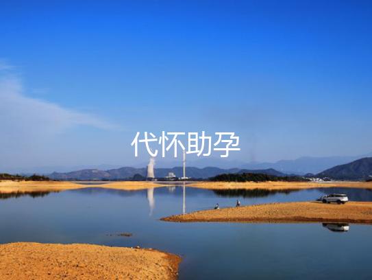 代怀助孕